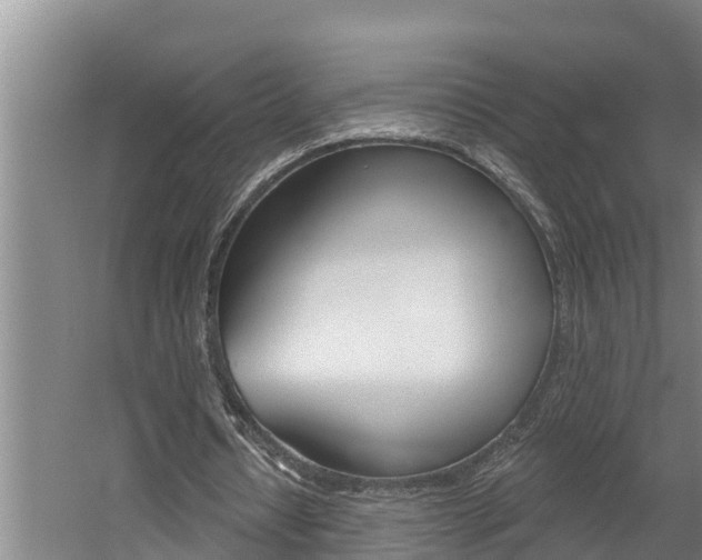 X0000060560434200511030922
