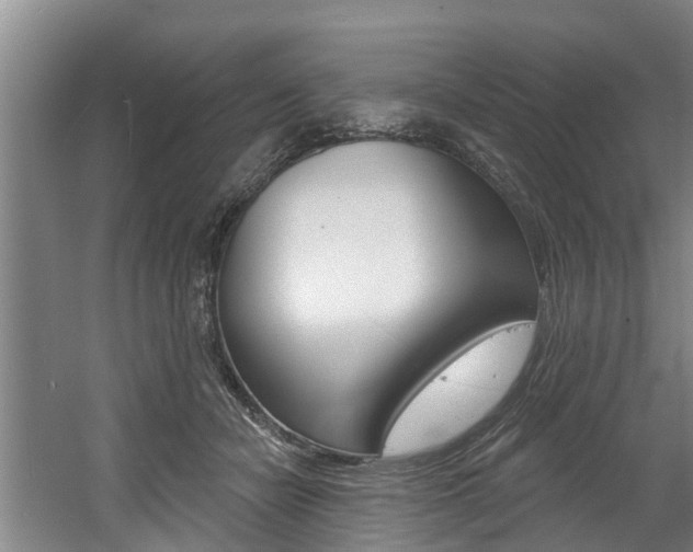 X0000060560462200511030923