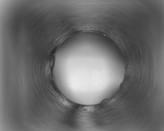 X0000060560478200511030923