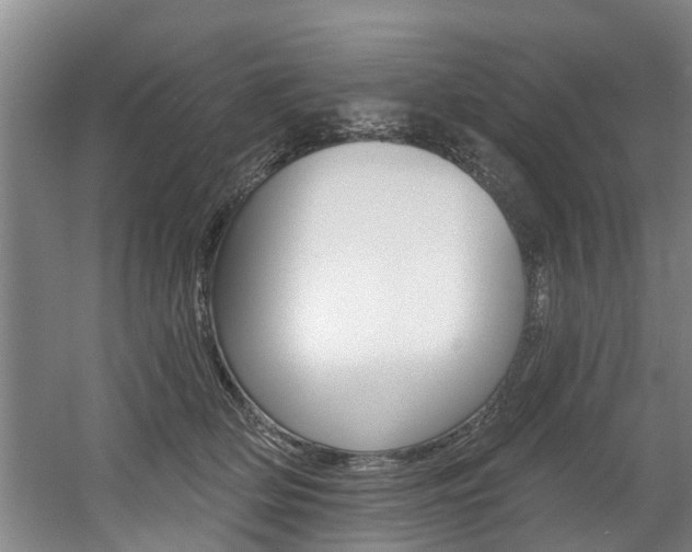 X0000060560514200511030921