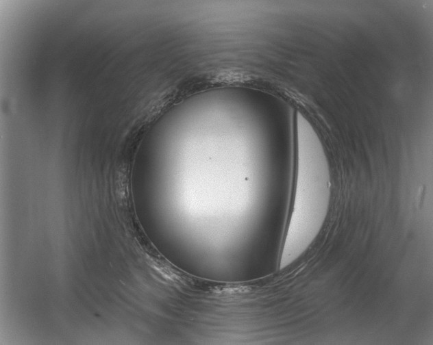 X0000060560517200511030921