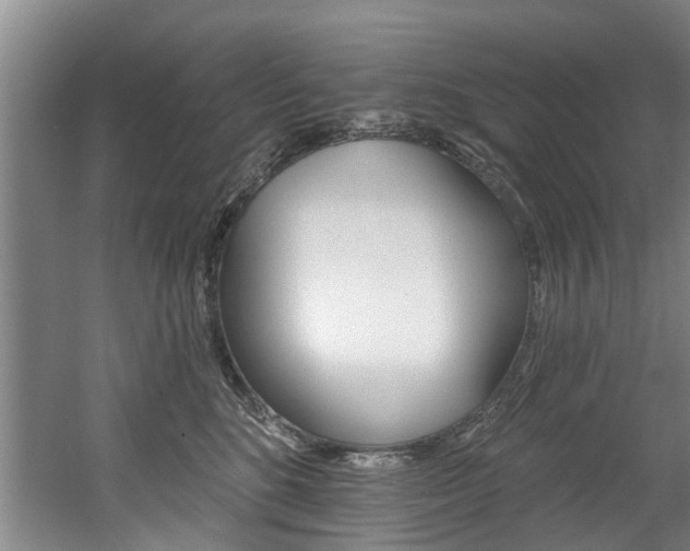 X0000060560520200511030921