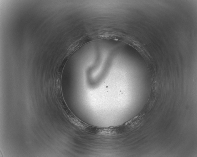 X0000060560521200511030921