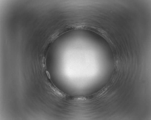 X0000060560525200511030921