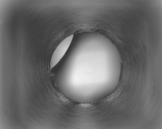 X0000060560528200511030921
