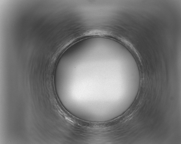 X0000060560529200511030920