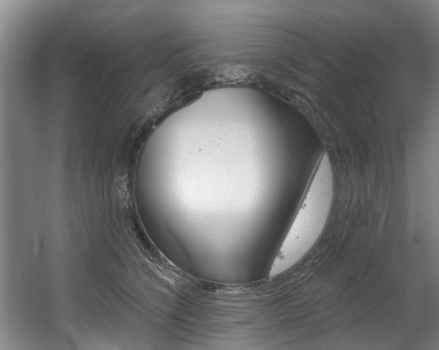 X0000060560564200511030921