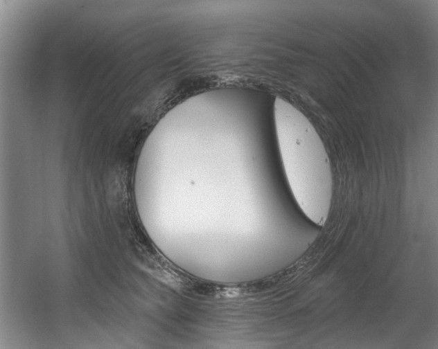 X0000060560565200511030921