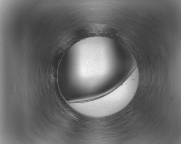 X0000060560566200511030921
