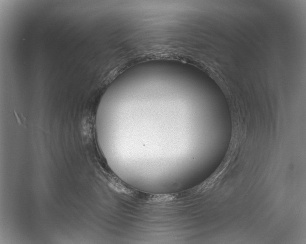 X0000060560576200511030921