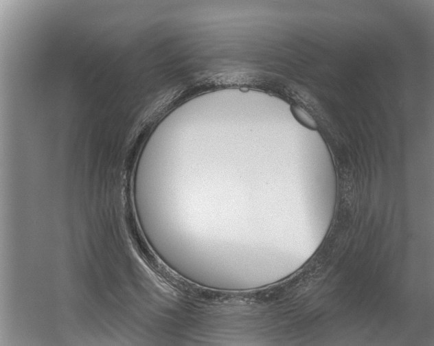 X0000060560586200511030920