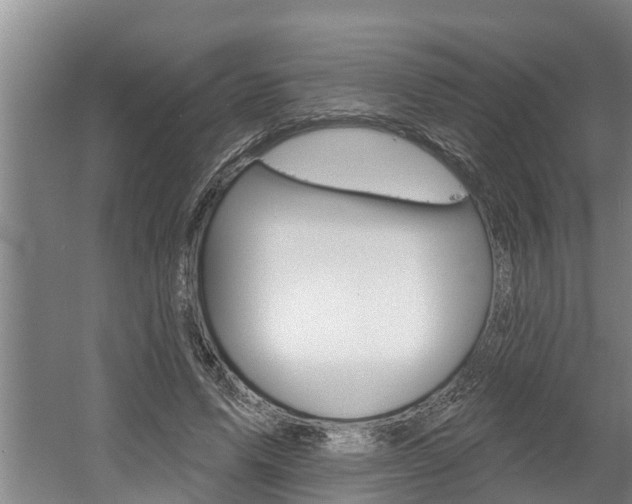 X0000060560591200511030920