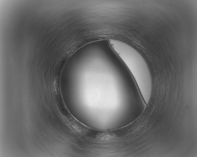 X0000060560597200511030920
