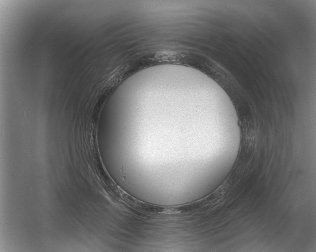 X0000060560603200511030920
