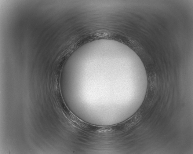 X0000060560606200511030920