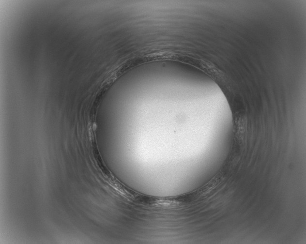 X0000060560617200511030920