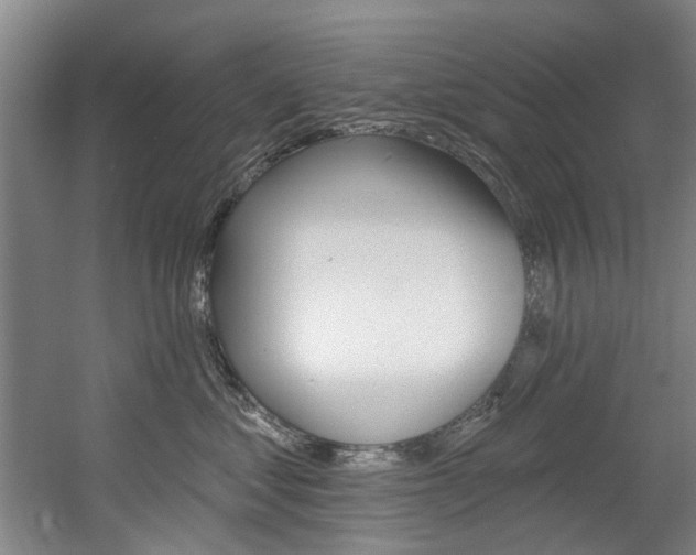 X0000060560621200511030920
