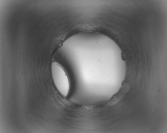 X0000060560624200511030920