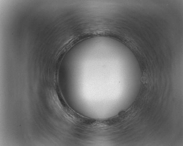 X0000060560648200511030919