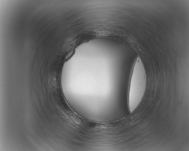 X0000060560655200511030919