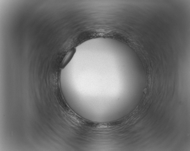 X0000060560657200511030919
