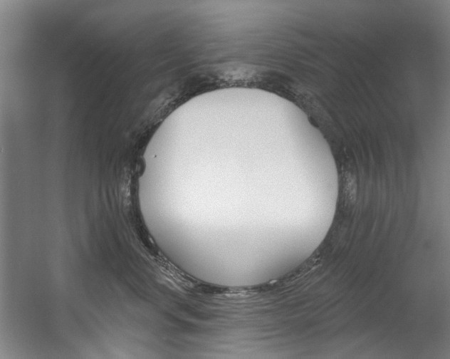 X0000060560668200511030919