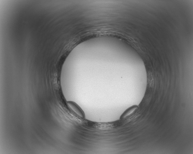X0000060560670200511030920