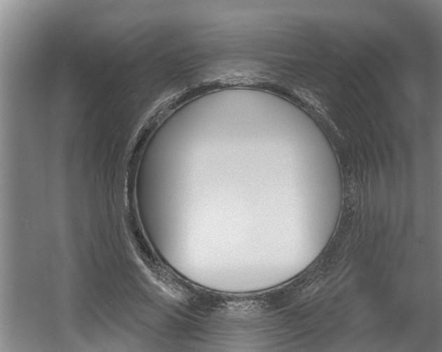 X0000060560686200511030919