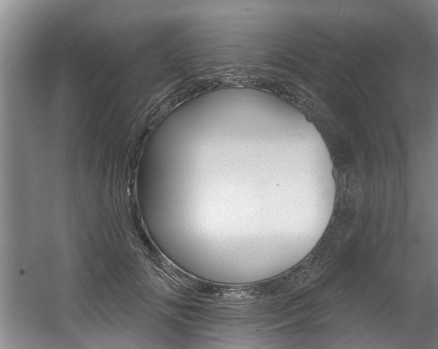 X0000060560702200511030918