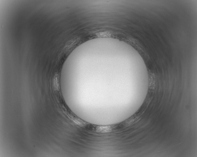 X0000060560717200511030918