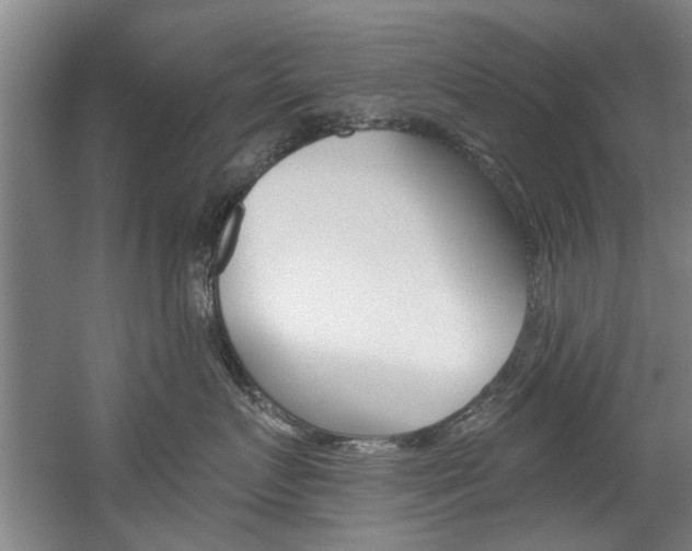 X0000060560719200511030918