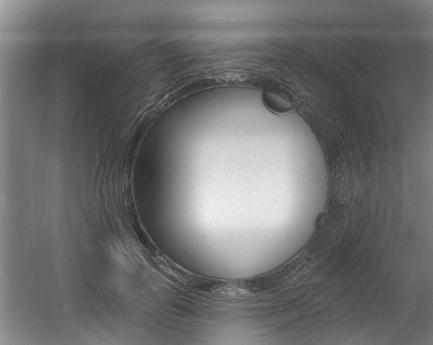 X0000060560747200511030918