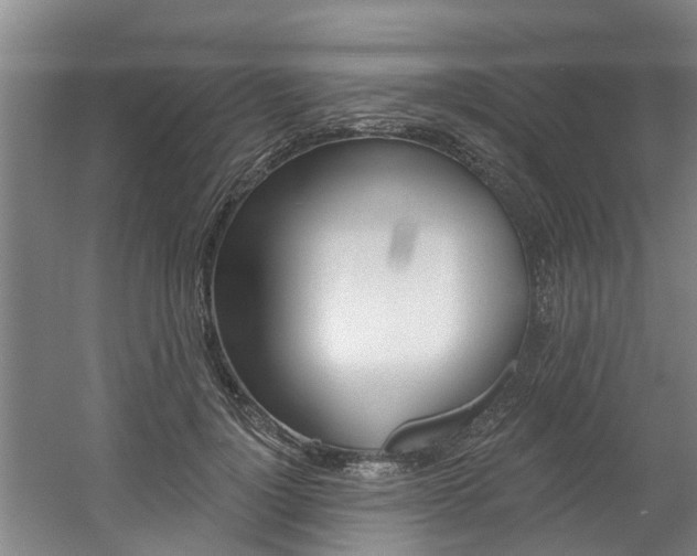 X0000060560748200511030918