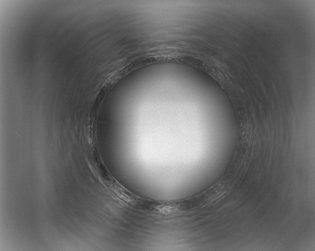 X0000060560755200511030918