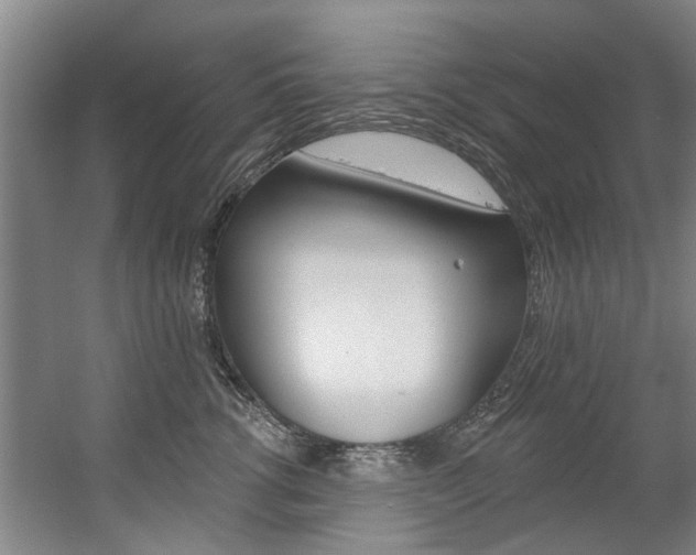 X0000060560762200511030918