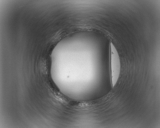X0000060560764200511030918