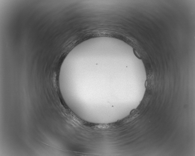 X0000060560765200511030918