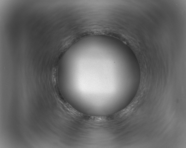 X0000060560768200511030918