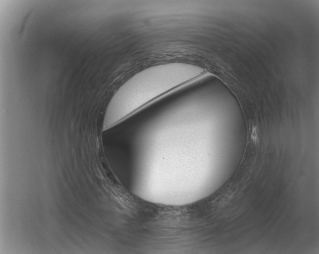 X0000060560771200511030917