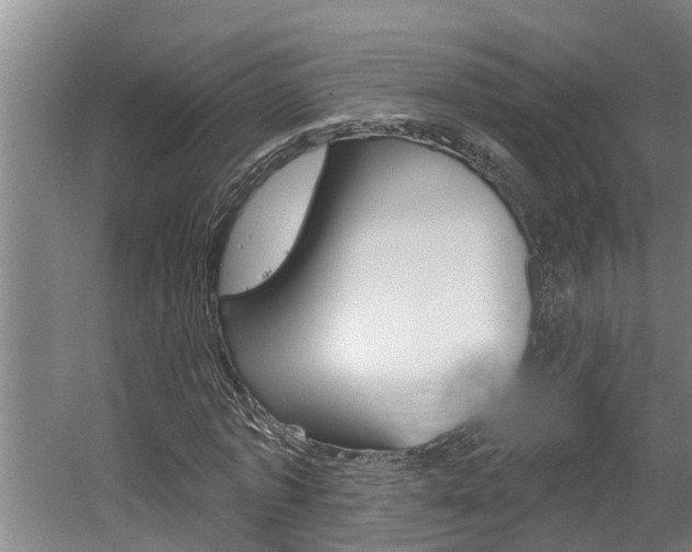 X0000060560773200511030917