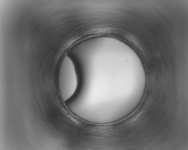 X0000060560778200511030917