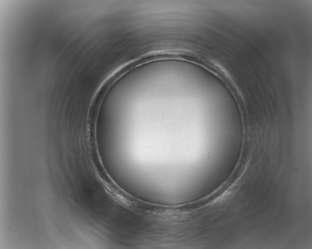 X0000060560779200511030917