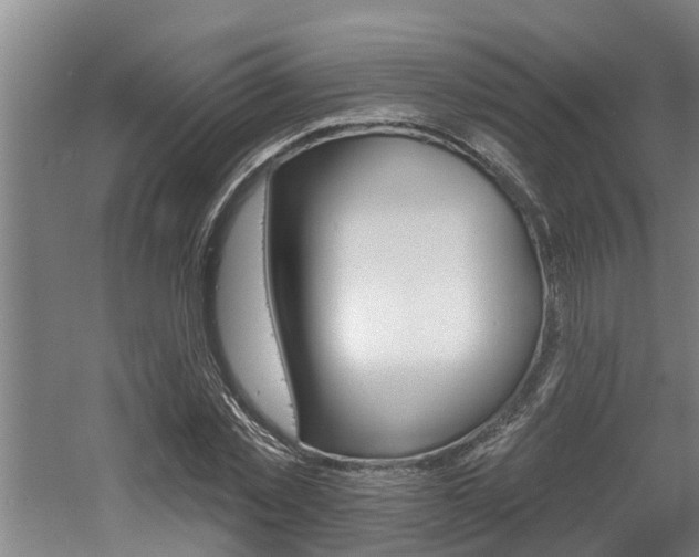 X0000060560781200511030917