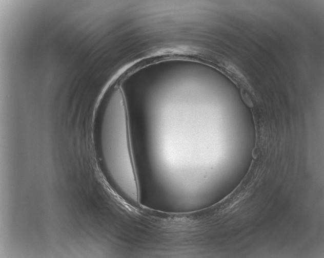 X0000060560784200511030917