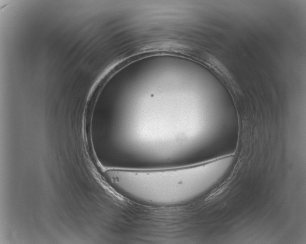 X0000060560788200511030917
