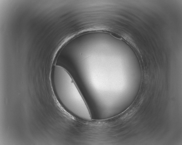 X0000060560797200511030917