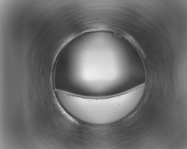X0000060560805200511030916