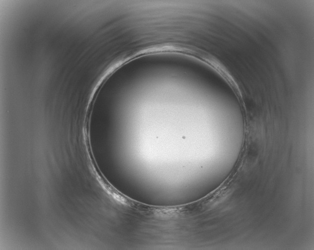 X0000060560813200511030916