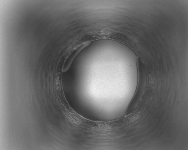 X0000060560818200511030916