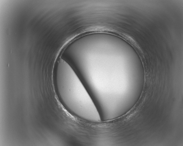 X0000060560839200511030916